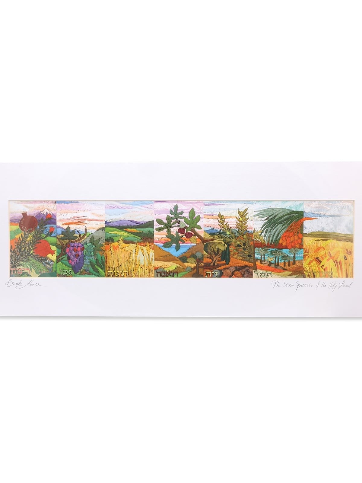 The Seven Species of the Holy Land - Bracha Lavee Print